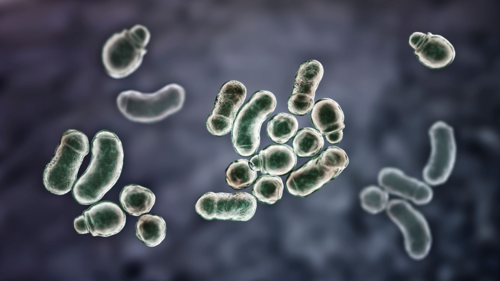Fungal Akne: Sivilcelerinizin Arkasındaki Gizli Suçlu!